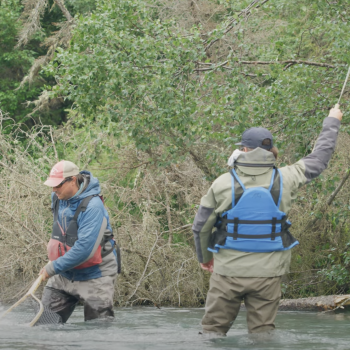 RIO GOLD MAX Fly Line